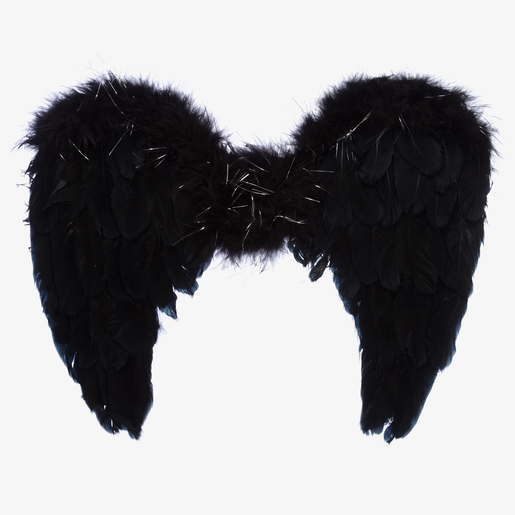 Black Feather Wings - View 1